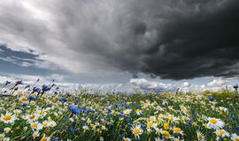 Virš Lietuvos sukiosis lietaus debesys