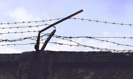 Amnestija paliestų iki pusės tūkstančio kalinių