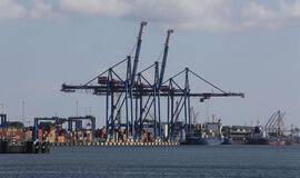 Kas tos mėlynosios "žirafos" uoste?