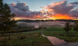 Minijos upėje masiškai gaišta žuvys