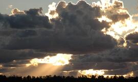 Orai bus gaivesni, palis