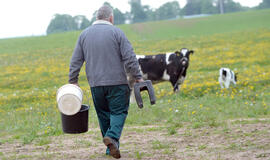 „Pienas LT“: apie nuostolius, sausrą, pilnus sandėlius ir galimą sviesto kainos rekordą