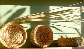 Gorčiaus saikas, arba Kai litro nebuvo