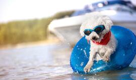 Orai: šią savaitę šils iki 26 laipsnių