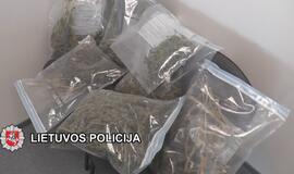 „Sodininkai“ užaugino kanapių už 25000 eurų