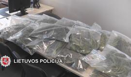 „Sodininkai“ užaugino kanapių už 25000 eurų