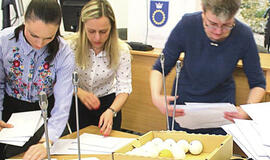 Dalijant viešąsias prekybos vietas kurortai reikalauja konkursų