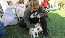 Uostamiesčio gyvūnai sulaukė palaiminimo