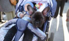 Naujojo turgaus atidarymas