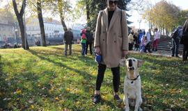 Uostamiesčio gyvūnai sulaukė palaiminimo