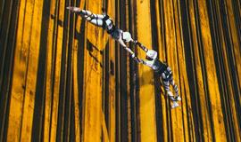 „Giedanti Vydūno upė“