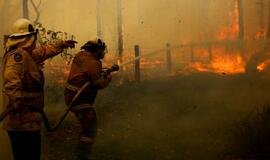 Australija: sparčiai plintantis krūmynų gaisras kelia grėsmę namams