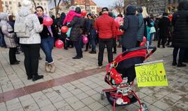 Mitingas prieš vaikų atiminėjimą