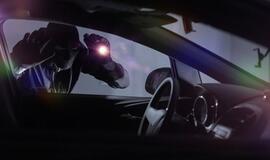 Vagišiai liko be grobio