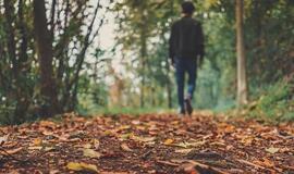 Visų šventųjų dieną prognozuojama šiluma