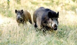 2019-ieji: laimės paieškos transformacijų laike