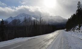 Dieną vietomis numatomi nedideli krituliai, formuosis plikledis