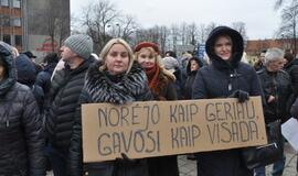 Garbę spręsti streiko problemas palieka Vyriausybei