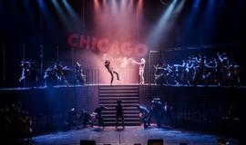 Lietuviai pasiilgo ugningosios „Čikagos“: arenos jau perpildytos