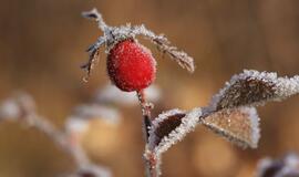 Nuo pirmadienio – orų permainos: bus labai slidu