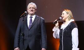 Gintarinės snaigės