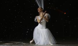 Gintarinės snaigės