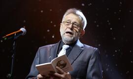 Gintarinės snaigės