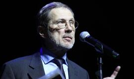 Gintarinės snaigės