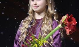 Gintarinės snaigės