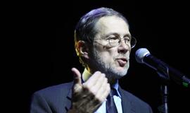 Gintarinės snaigės