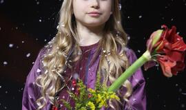 Gintarinės snaigės