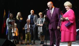 Gintarinės snaigės