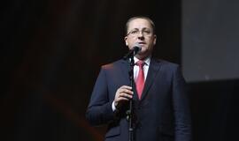 Gintarinės snaigės