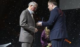 Gintarinės snaigės