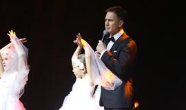 Gintarinės snaigės