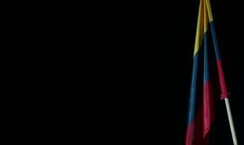 Gintarinės snaigės