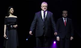 Gintarinės snaigės