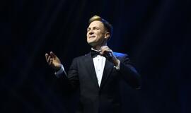 Gintarinės snaigės