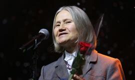 Gintarinės snaigės