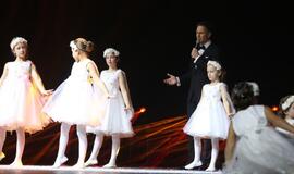 Gintarinės snaigės