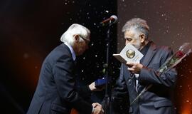 Gintarinės snaigės