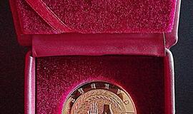 Klaipėdietis nori Lietuvą garsinti Gineso rekordų knygoje