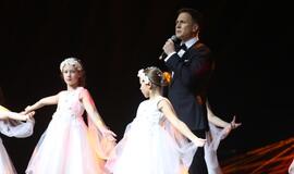 Gintarinės snaigės