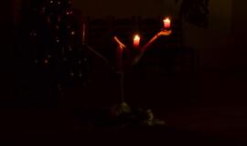 Adventinė popietė su skautais