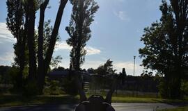 Klaipėdietis nori Lietuvą garsinti Gineso rekordų knygoje