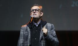 Gintarinės snaigės