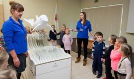 Kitoks renginys, skirtas Žmonių su negalia supratimo dienai