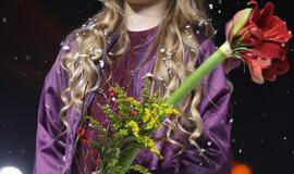 Gintarinės snaigės