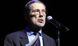 Gintarinės snaigės