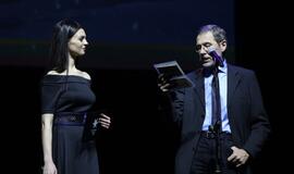 Gintarinės snaigės